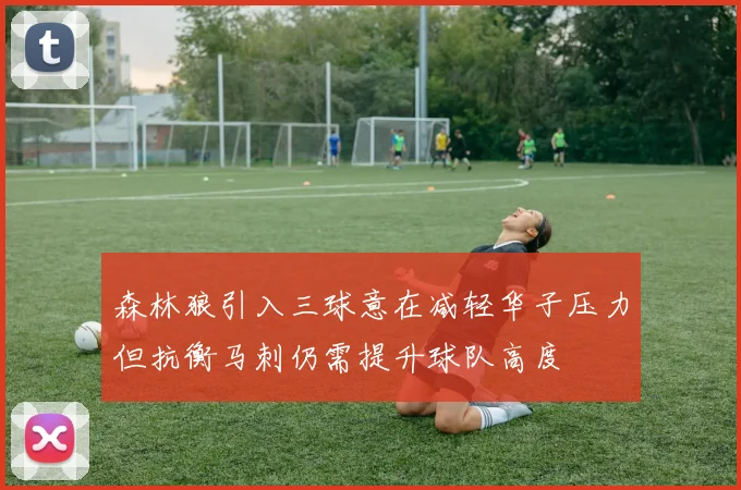 森林狼引入三球意在减轻华子压力但抗衡马刺仍需提升球队高度